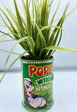 Load image into Gallery viewer, Popeye Planter
