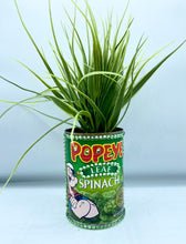 Load image into Gallery viewer, Popeye Planter
