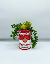 Load image into Gallery viewer, Campbell&#39;s Planter
