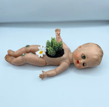 Load image into Gallery viewer, Baby Daisy Planter
