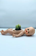 Load image into Gallery viewer, Baby Daisy Planter
