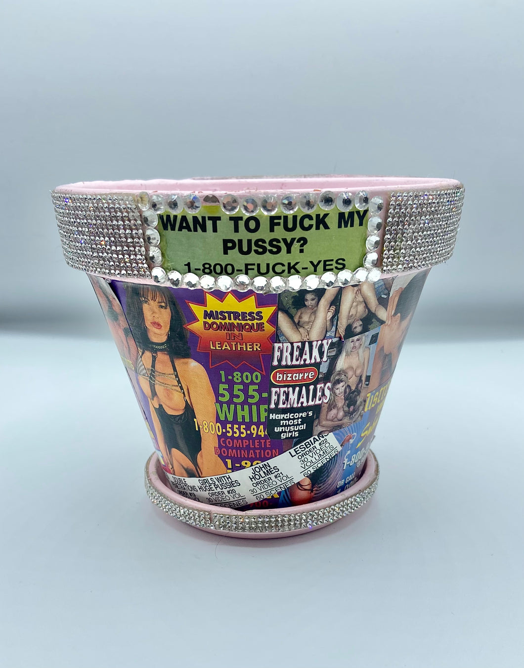 Want To Fuck My Pussy? Planter